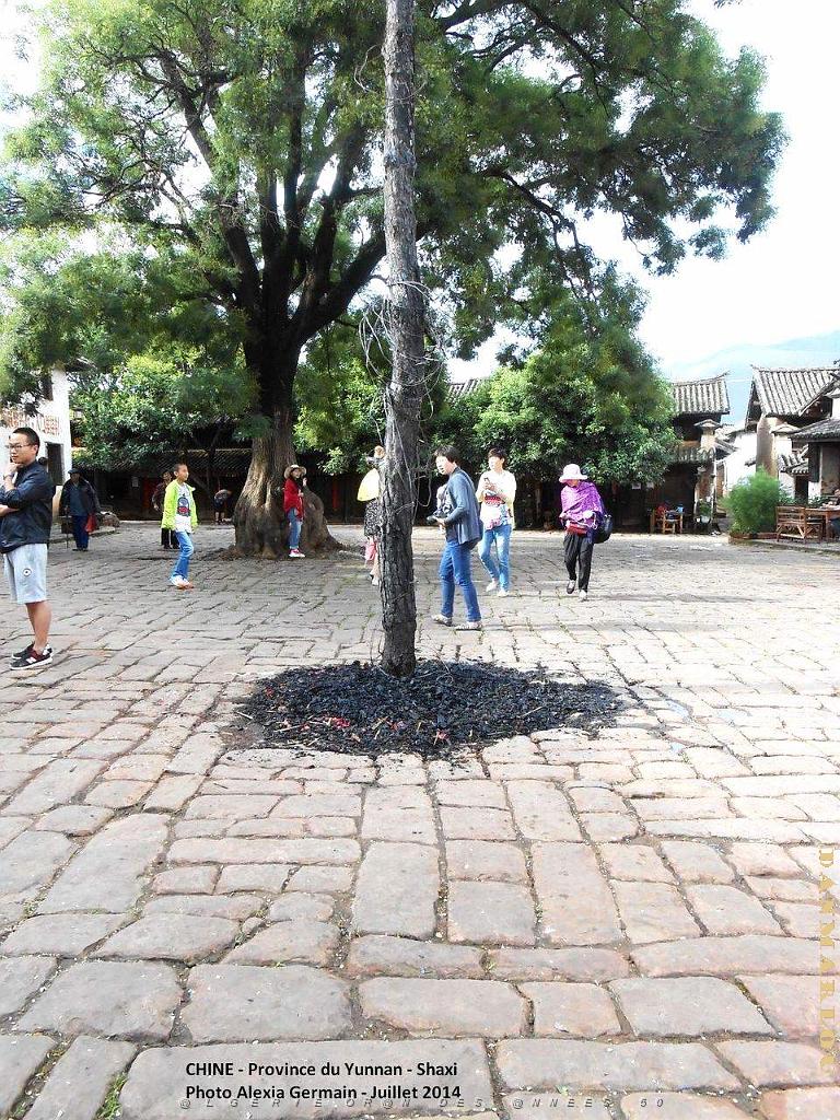009 - Shaxi.JPG
